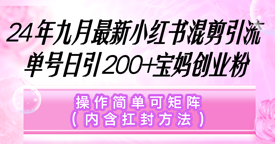 （12530期）小红书混剪引流，单号日引200+宝妈创业粉，操作简单可矩阵（内含扛封…-桐创网