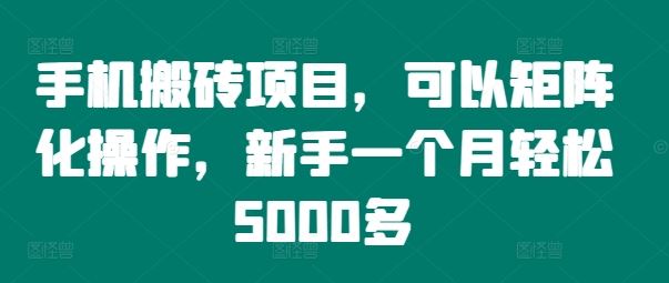 手机搬砖项目，可以矩阵化操作，新手一个月轻松5000多-桐创网