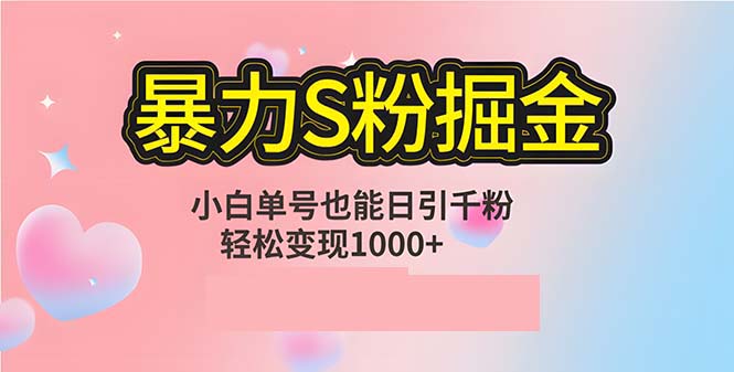 单人单机日引千粉，变现1000+，S粉流量掘金计划攻略-桐创网