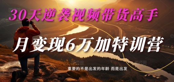 30天逆袭视频带货高手，单月变现6万加特训营-麦子甜-桐创网