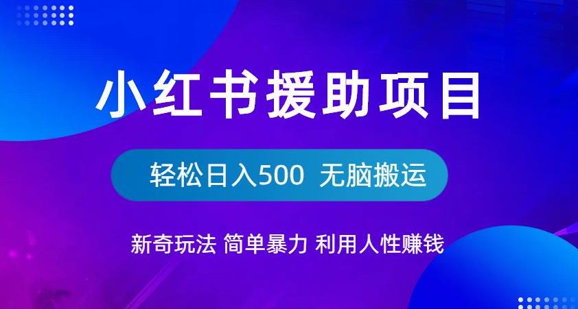 小红书援助项目新奇玩法，简单暴力，无脑搬运轻松日入500【揭秘】-桐创网