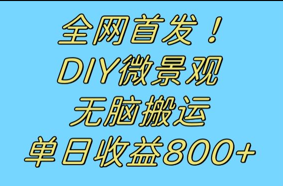 全网首发冷门赛道！DIY微景观，无脑搬运视频，日收益800+-桐创网