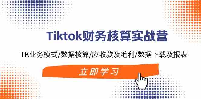 Tiktok财务核算实战营：TK业务模式/数据核算/应收款及毛利/数据下载及报表-桐创网