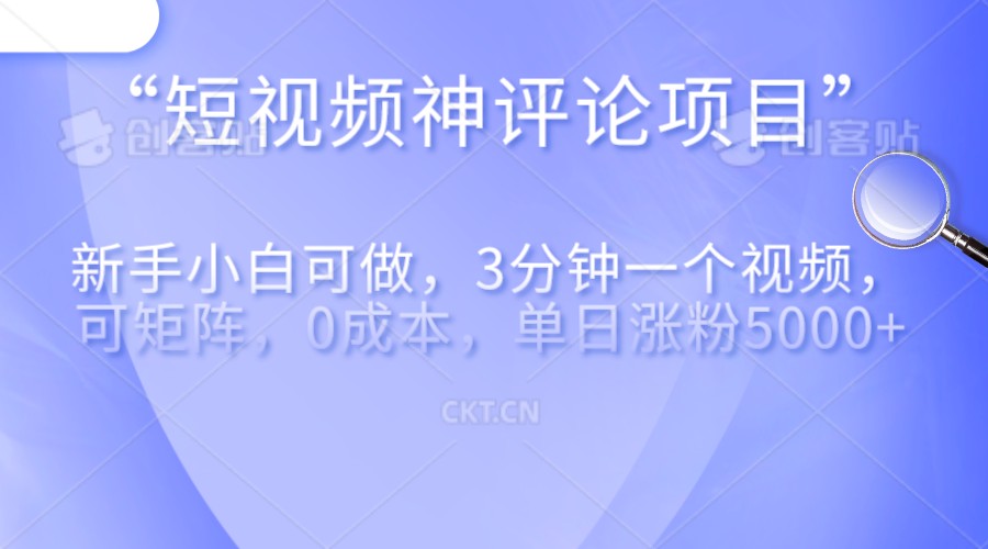 短视频神评论，一天收益500+，新手小白也可操作，长期项目，纯利润-桐创网