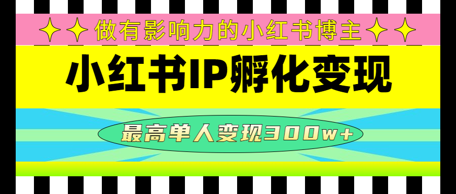 （4612期）某收费培训-小红书IP孵化变现：做有影响力的小红书博主，最高单人变现300w+-桐创网