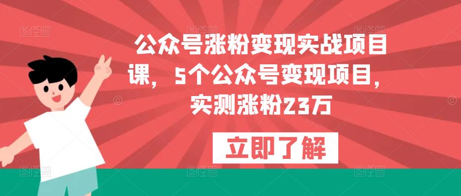 公众号涨粉变现实战项目课，5个公众号变现项目，实测涨粉23万-桐创网