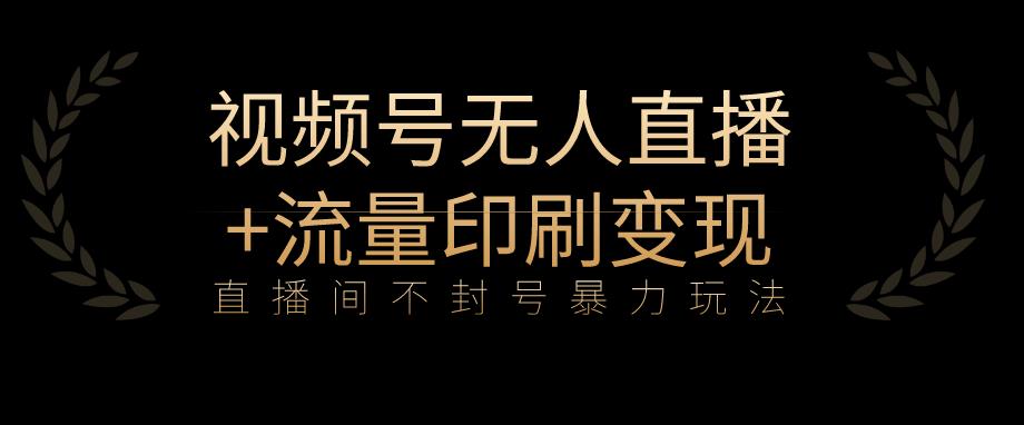 全网首发视频号不封号无人直播暴利玩法+流量印刷机变现，日入1000+【揭秘】-桐创网