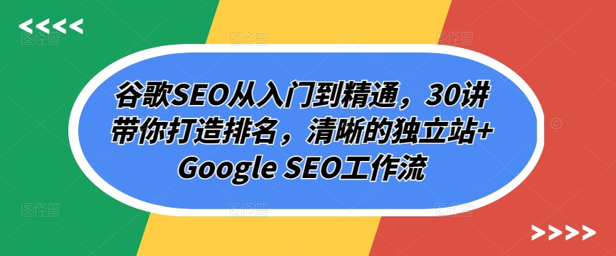 谷歌SEO从入门到精通，30讲带你打造排名，清晰的独立站+Google SEO工作流-桐创网