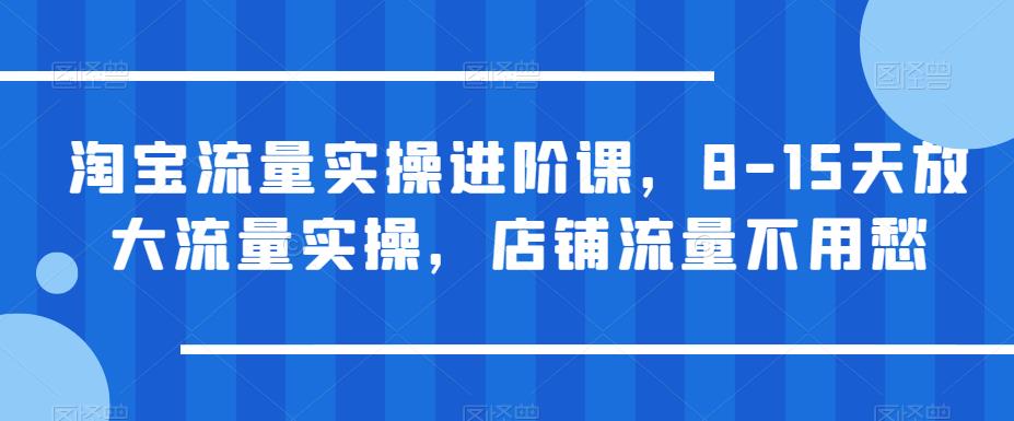 淘宝流量实操进阶课，8-15天放大流量实操，店铺流量不用愁-桐创网