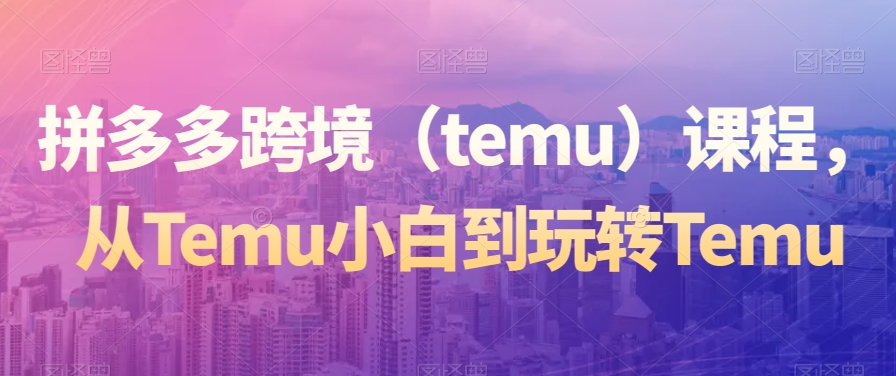 拼多多跨境（temu）课程，从Temu小白到玩转Temu-桐创网