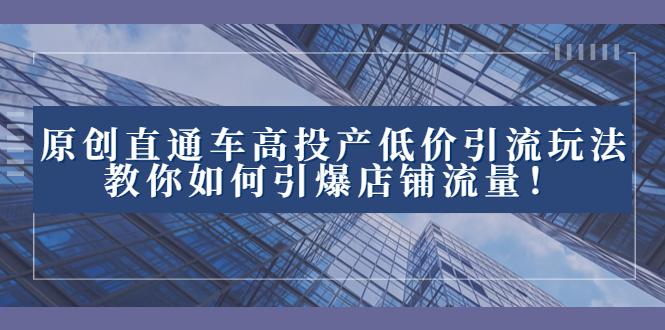 （8197期）2023直通车高投产低价引流玩法，教你如何引爆店铺流量！-桐创网