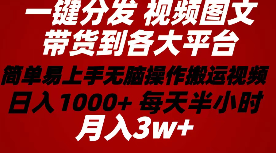 （10667期）2024年 一键分发带货图文视频  简单易上手 无脑赚收益 每天半小时日入1…-桐创网