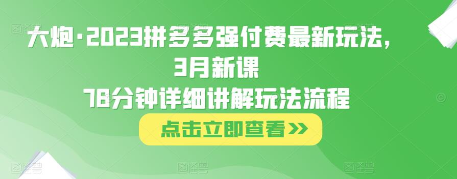 大炮·2023拼多多强付费最新玩法，3月新课​78分钟详细讲解玩法流程-桐创网