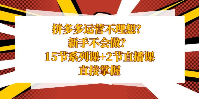 拼多多运营不理想？新手不会做？15节系列课+2节直播课学会直接掌握-桐创网