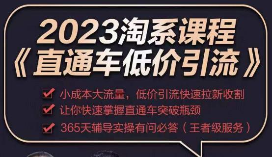 2023直通车低价引流玩法课程，小成本大流量，低价引流快速拉新收割，让你快速掌握直通车突破瓶颈-桐创网