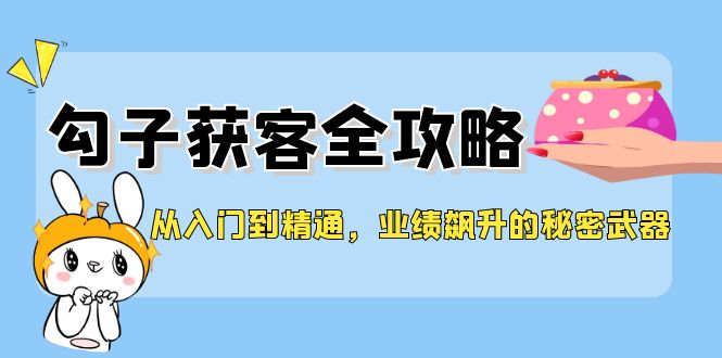 从入门到精通，勾子获客全攻略，业绩飙升的秘密武器-桐创网