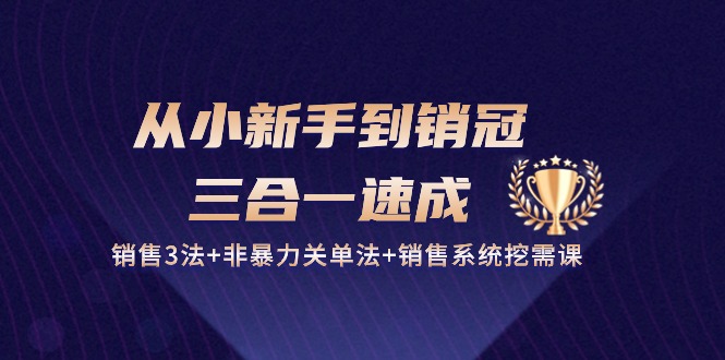 （10799期）从小新手到销冠 三合一速成：销售3法+非暴力关单法+销售系统挖需课 (27节)-桐创网