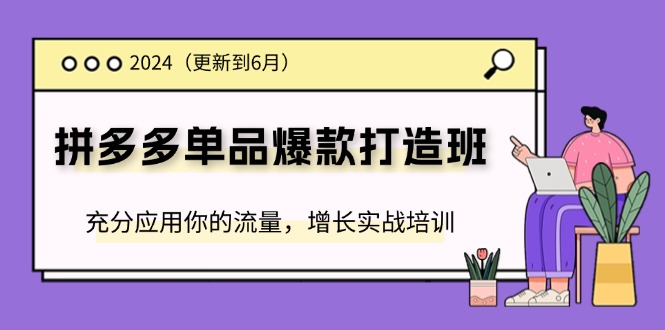 （11556期）2024拼多多-单品爆款打造班(更新6月)，充分应用你的流量，增长实战培训-桐创网