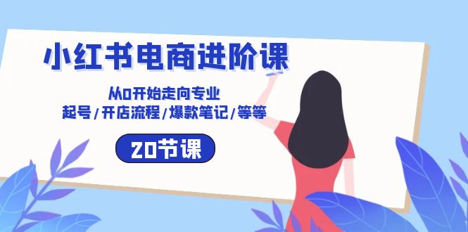 小红书电商进阶课：从0开始走向专业 起号/开店流程/爆款笔记/等等（20节）-桐创网