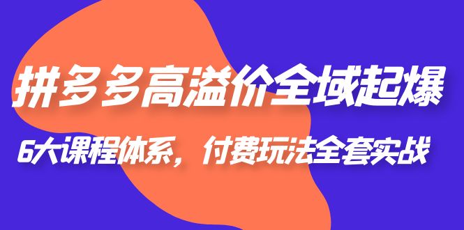 （6297期）拼多多-高溢价 全域 起爆，6大课程体系，付费玩法全套实战！-桐创网