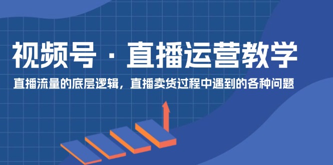 （11687期）视频号 直播运营教学：直播流量的底层逻辑，直播卖货过程中遇到的各种问题-桐创网