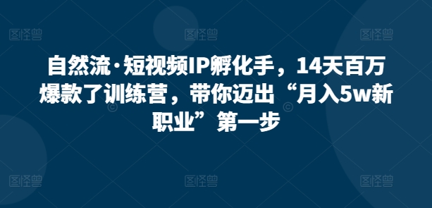 自然流·短视频IP孵化手，14天百万爆款了训练营，带你迈出“月入5w新职业”第一步-桐创网