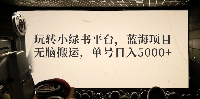 （12366期）玩转小绿书平台，蓝海项目，无脑搬运，单号日入5000+-桐创网