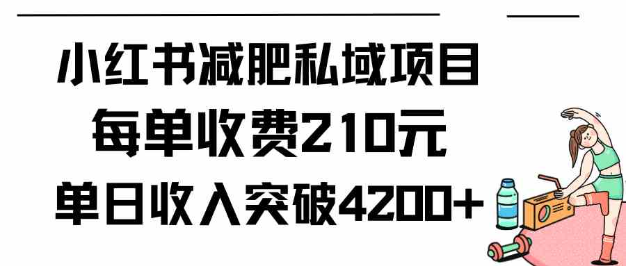 （9466期）小红书减肥私域项目每单收费210元单日成交20单，最高日入4200+-桐创网