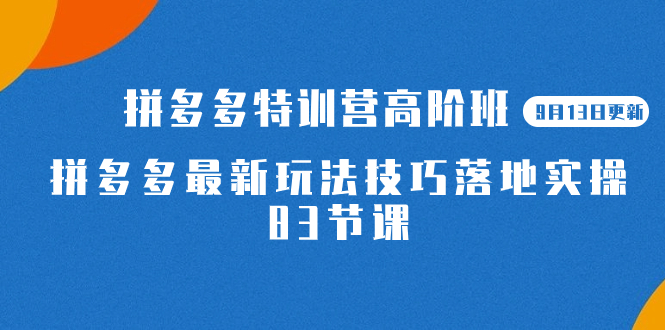 （7295期）2023拼多多·特训营高阶班【9月13日更新】拼多多最新玩法技巧落地实操-83节-桐创网