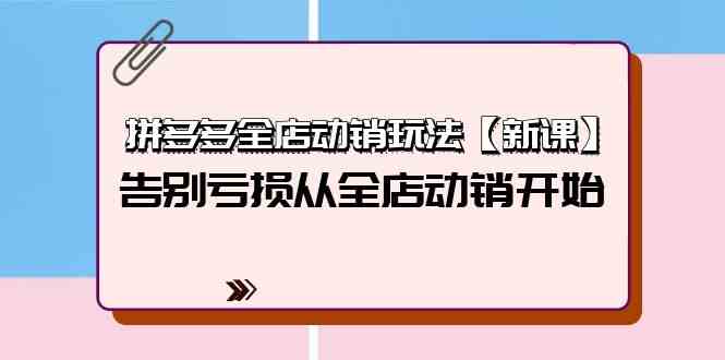 （9974期）拼多多全店动销玩法【新课】，告别亏损从全店动销开始（4节视频课）-桐创网