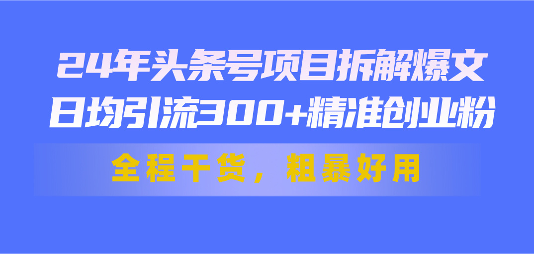 （11397期）24年头条号项目拆解爆文，日均引流300+精准创业粉，全程干货，粗暴好用-桐创网