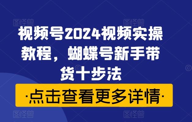 视频号2024视频实操教程，蝴蝶号新手带货十步法-桐创网