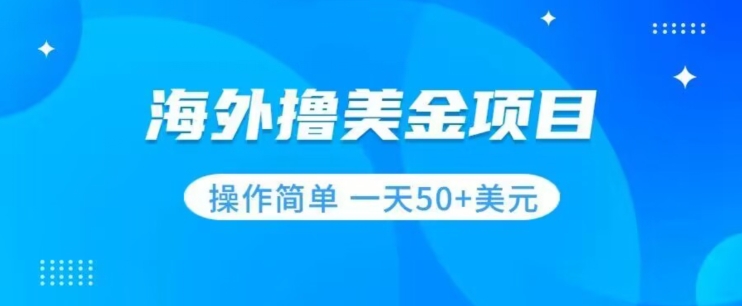 撸美金项目无门槛操作简单小白一天50+美刀-桐创网