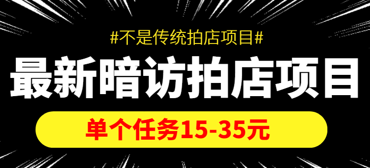 最新暗访拍店信息差项目，单个任务15-35元（不是传统拍店项目）-桐创网