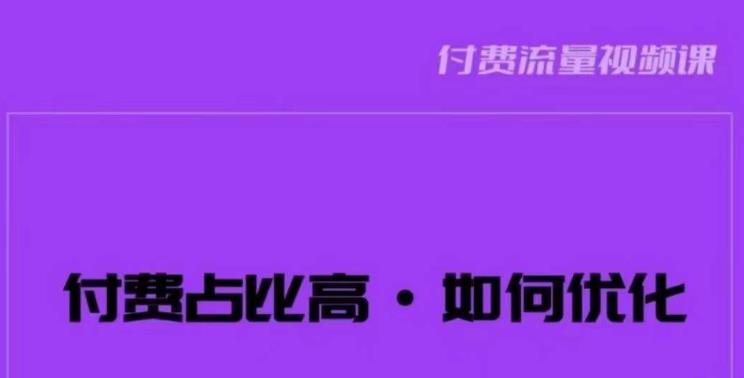 波波-付费占比高，如何优化？只讲方法，不说废话，高效解决问题！-桐创网