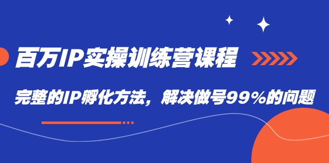 百万IP实战训练营课程，完整的IP孵化方法，解决做号99%的问题-桐创网