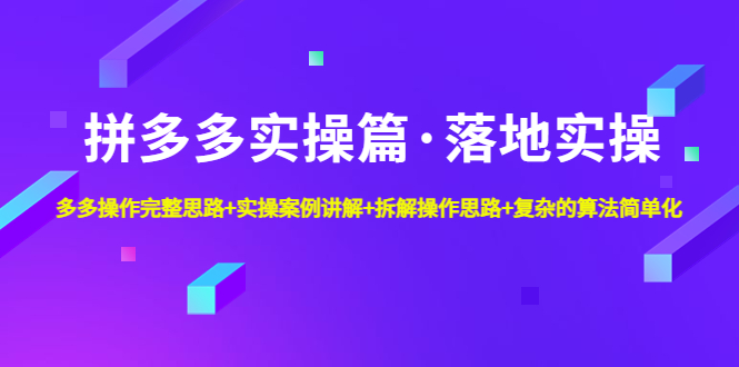 （4947期）拼多多实操篇·落地实操 完整思路+实操案例+拆解操作思路+复杂的算法简单化-桐创网