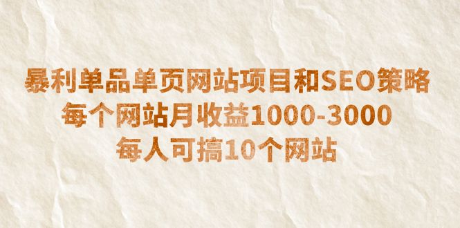 （6503期）暴利单品单页网站项目和SEO策略  每个网站月收益1000-3000  每人可搞10个-桐创网