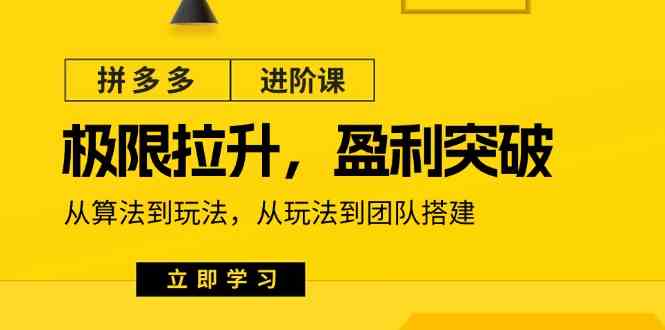 拼多多进阶课：极限拉升/盈利突破：从算法到玩法 从玩法到团队搭建（18节）-桐创网