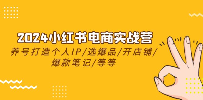 2024小红书电商实战营，养号打造IP/选爆品/开店铺/爆款笔记/等等（24节）-桐创网