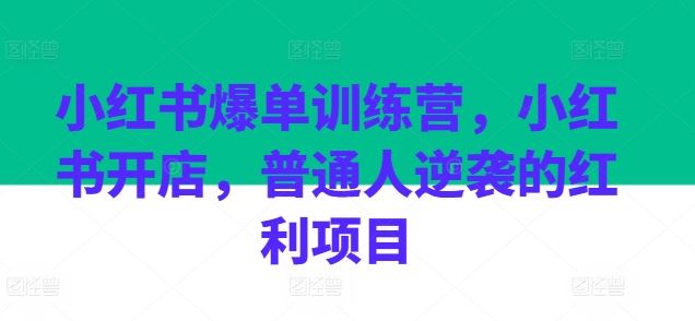 小红书爆单训练营，小红书开店，普通人逆袭的红利项目-桐创网