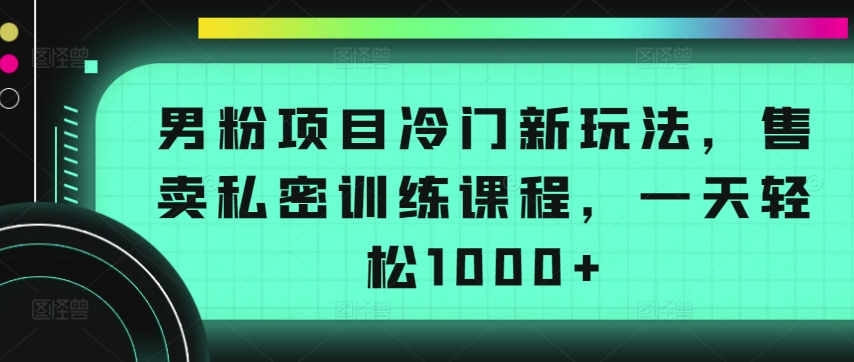 男粉项目冷门新玩法，售卖私密训练课程，一天轻松1000+-桐创网