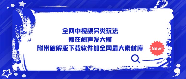 （5242期）全网中视频另类玩法，都在闷声发大财，附带破解版下载软件加全网最大素材库-桐创网