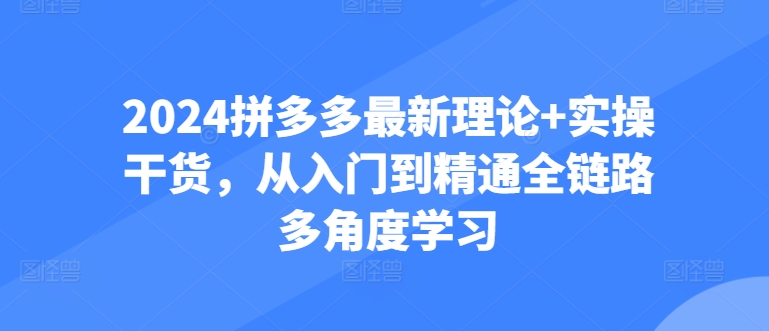 2024拼多多最新理论+实操干货，从入门到精通全链路多角度学习-桐创网