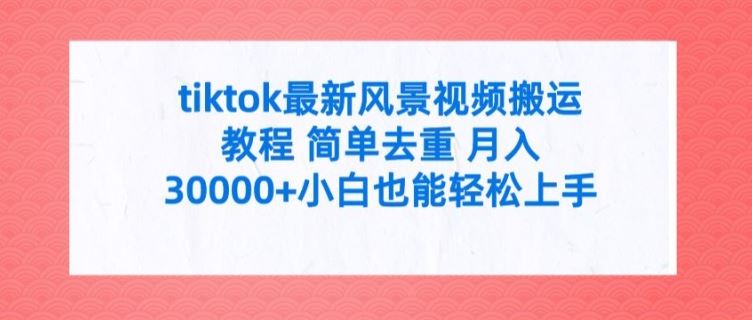 tiktok最新风景视频搬运教程 简单去重 月入3W+小白也能轻松上手【揭秘】-桐创网