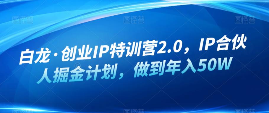 白龙·创业IP特训营2.0，IP合伙人掘金计划，做到年入50W-桐创网