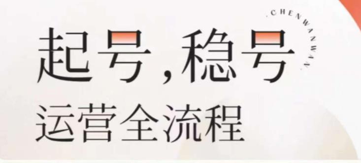 婉婉-起号稳号运营全流程，解决从小白到进阶所有运营知识，帮助解决账号所有运营难题-桐创网