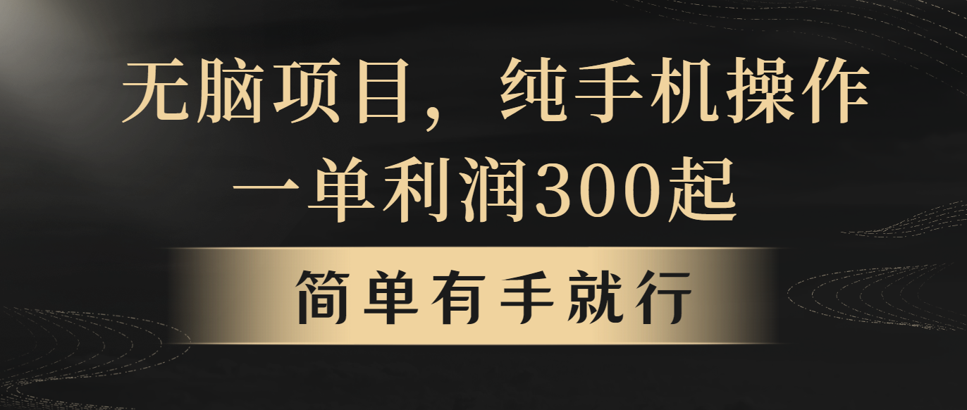 （10699期）无脑项目，一单几百块，轻松月入5w+，看完就能直接操作-桐创网