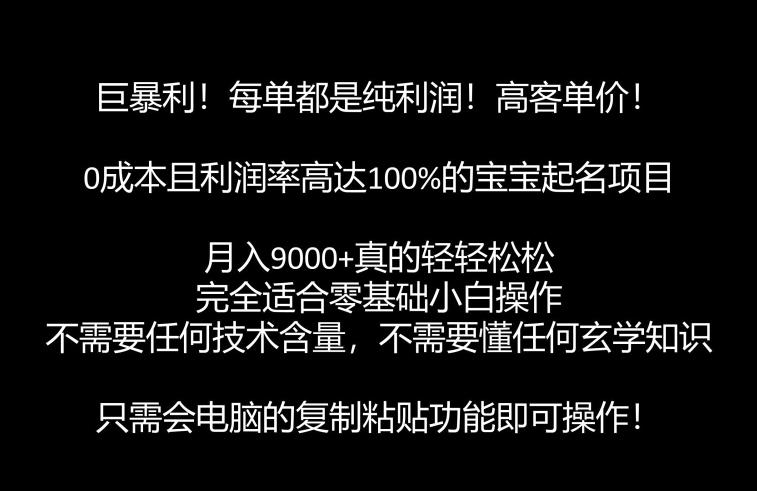 巨暴利，月入9000+的宝宝起名项目，每单都是纯利润，零基础都能躺赚【附软件+视频教程】-桐创网