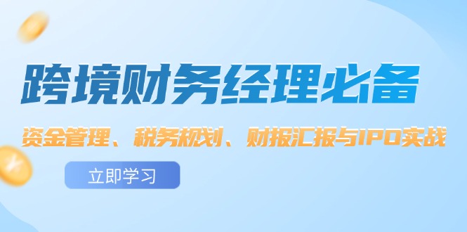 （12323期）跨境 财务经理必备：资金管理、税务规划、财报汇报与IPO实战-桐创网